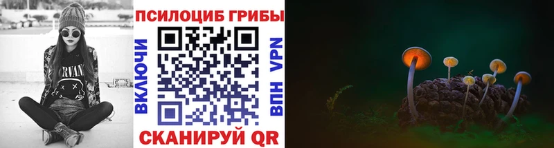 Галлюциногенные грибы прущие грибы маркетплейс телеграм Саров