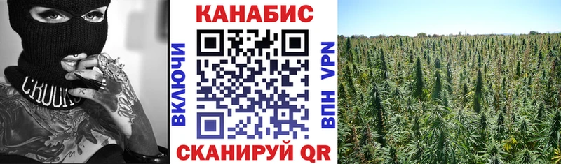OMG   Саров  Бошки марихуана план 